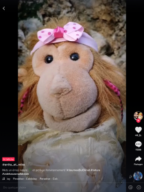 Tik Tok - Capture d'écran n°3