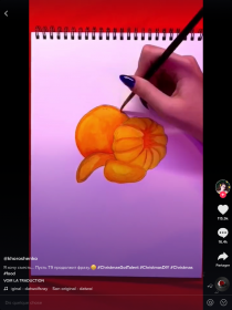 Tik Tok - Capture d'écran n°4