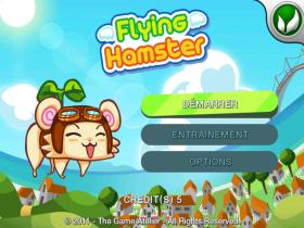 Flying Hamster  - Capture d'écran n°1