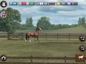 My Horse - Capture d'écran n°3
