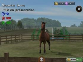My Horse - Capture d'écran n°5