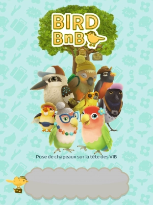 Bird bnb - Capture d'écran n°1