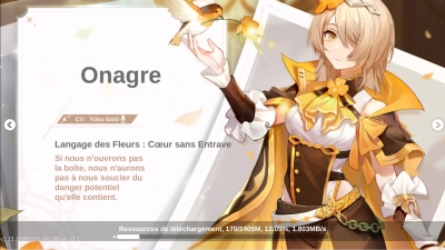 The Legend of Neverland - Capture d'écran n°1