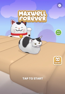 Maxwell Forever - Cat Game - Capture d'écran n°1
