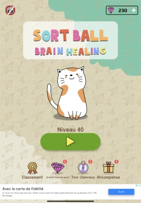 Sort Ball : Brain Healing - Capture d'écran n°1