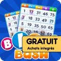 Bingo Bash